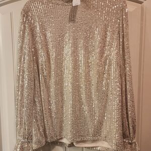 Lane Bryant Silver Sequin Long Sleeve Top